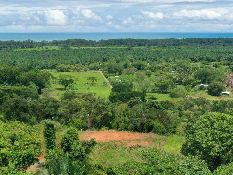 0 bed Lot/Land For Sale in Dominical,  - 1